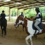 Equitation au Poney Club de la Buissonnière